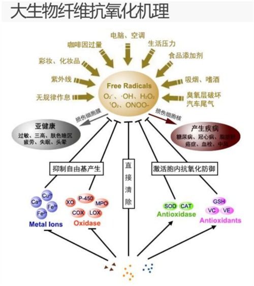大生物纖維 點燃中國紡織業(yè)變革與山東新舊動能轉換的燎原之火